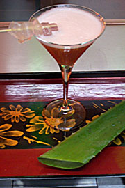 Thai Ci Harmony wir mit Aloe Vera (Foto: Marikka-laila Maisel)